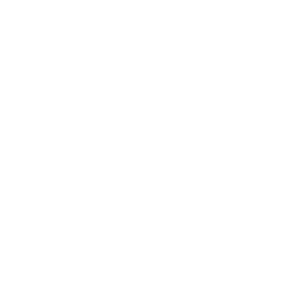 Horizon Bot